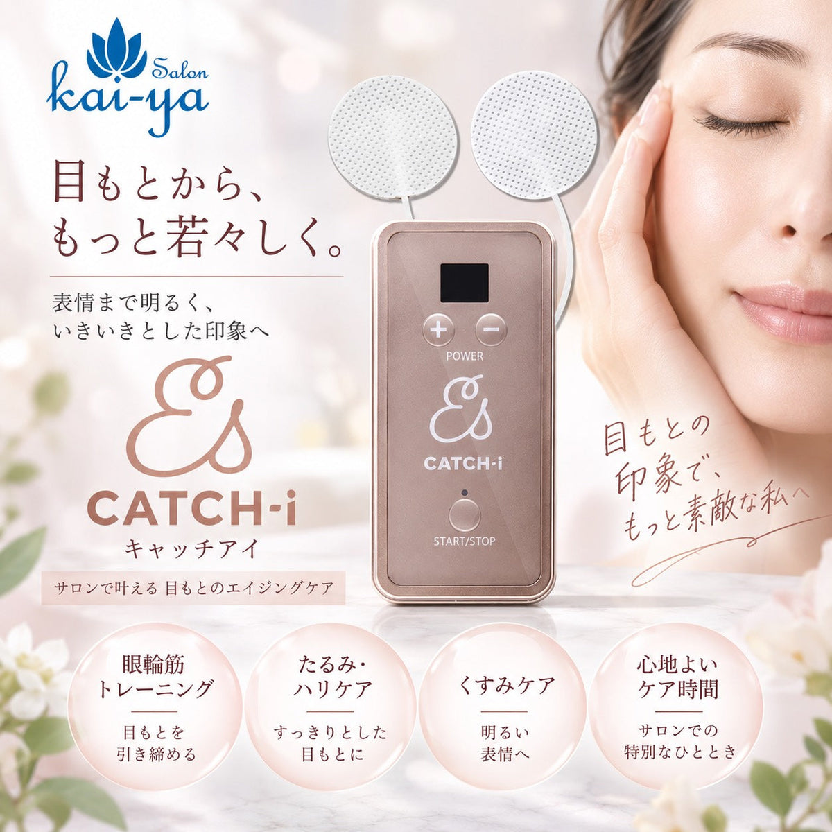 特集商品